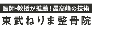 東武練馬の整体なら「東武ねりま整骨院」ロゴ